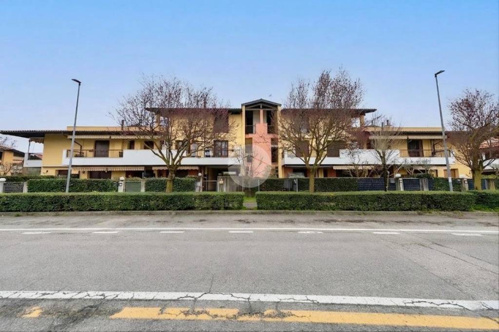 immagine annuncio 5 di 11
