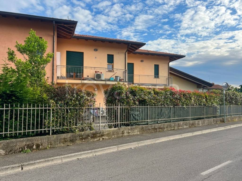 immagine annuncio 2 di 12