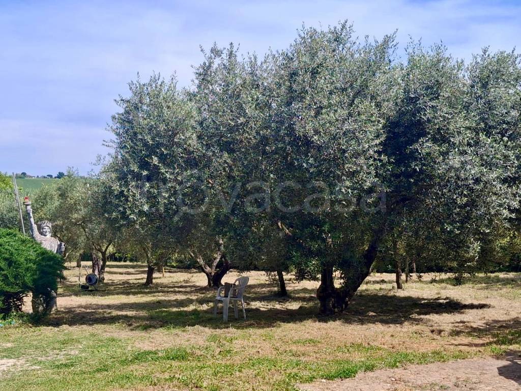 immagine annuncio 2 di 14