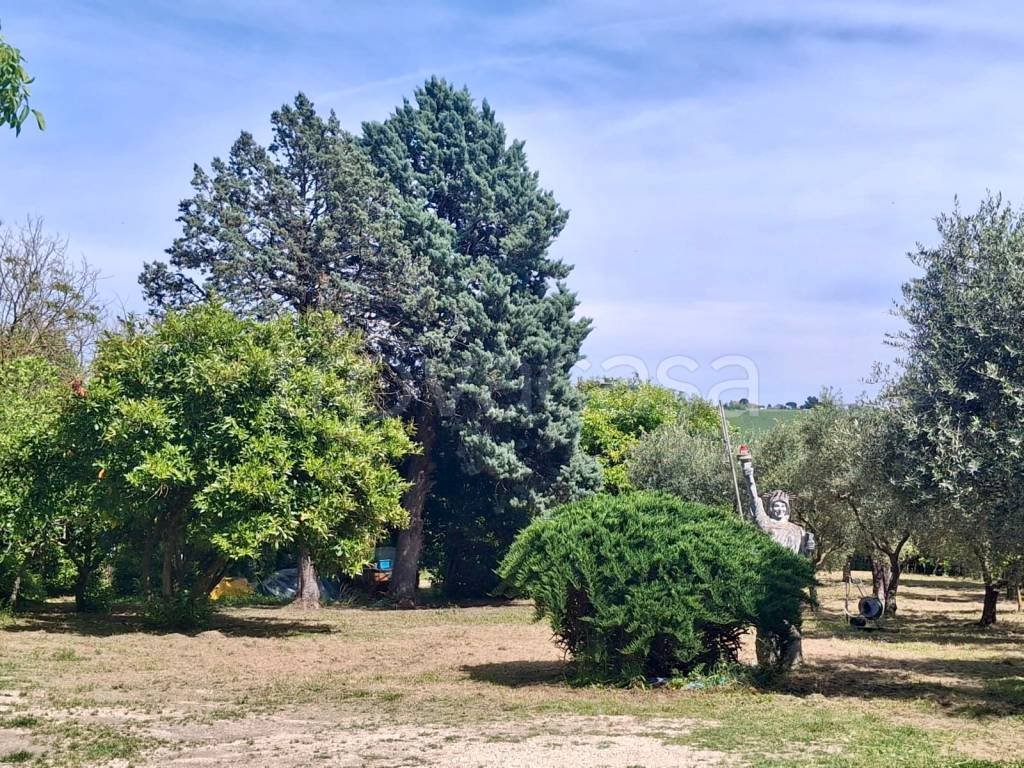 immagine annuncio 11 di 14