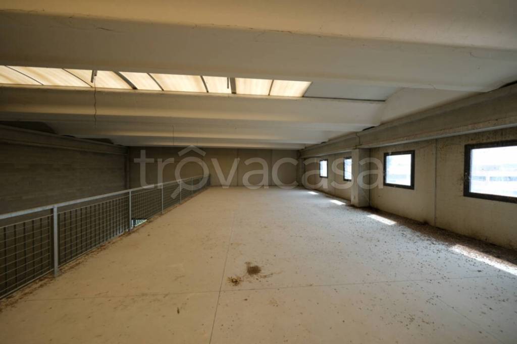 immagine annuncio 3 di 8