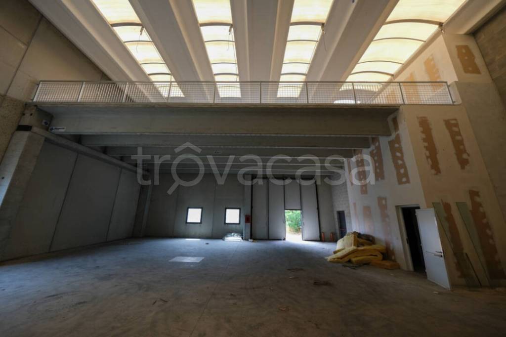 immagine annuncio 5 di 8