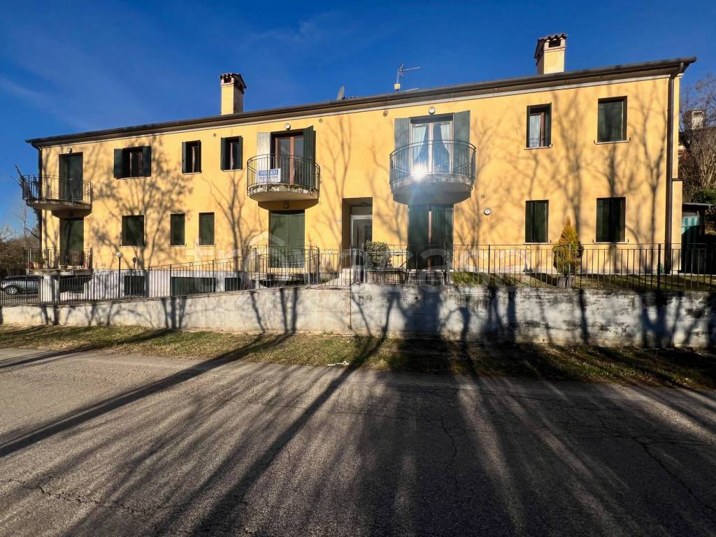 immagine annuncio 11 di 14