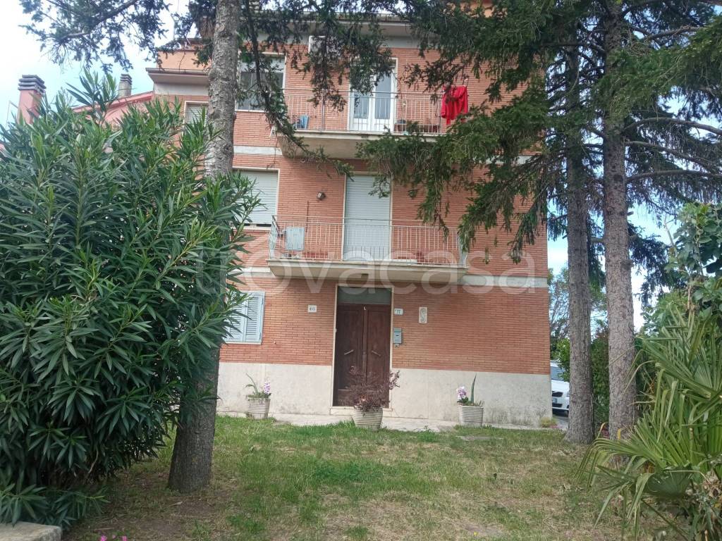 immagine annuncio 11 di 12