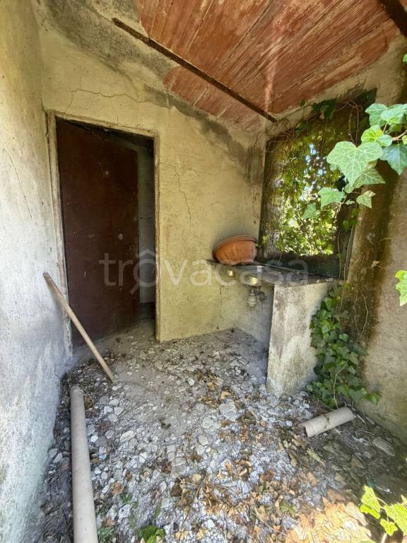 immagine annuncio 6 di 13