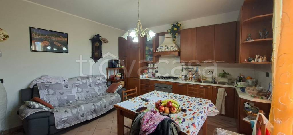 immagine annuncio 3 di 12