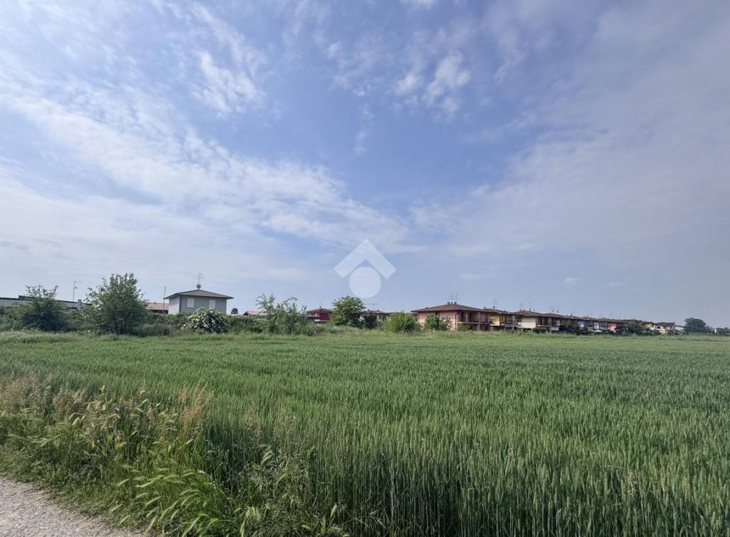 immagine annuncio 7 di 9