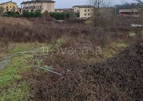 immagine annuncio 1 di 6