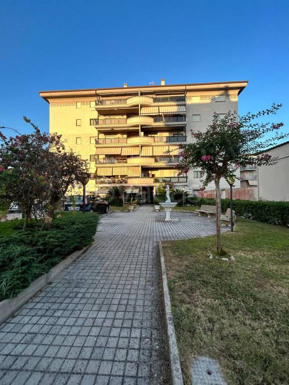 immagine annuncio 12 di 15