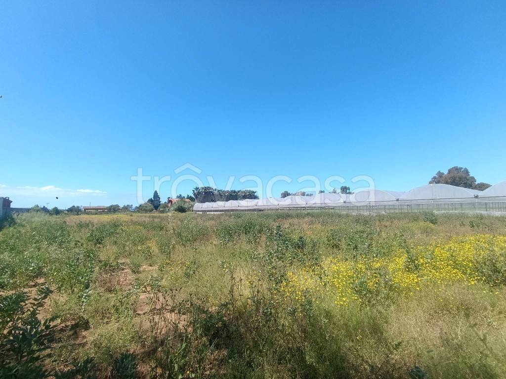 immagine annuncio 6 di 11