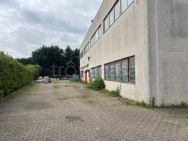 immagine annuncio 3 di 14