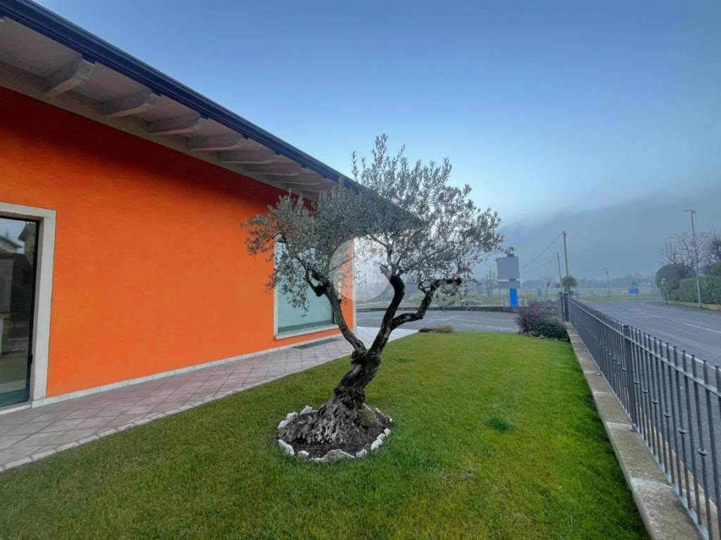 immagine annuncio 11 di 15