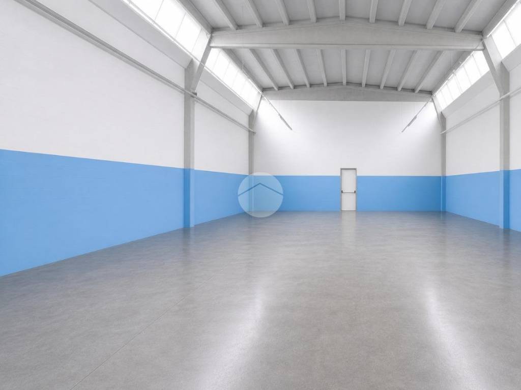 immagine annuncio 4 di 7