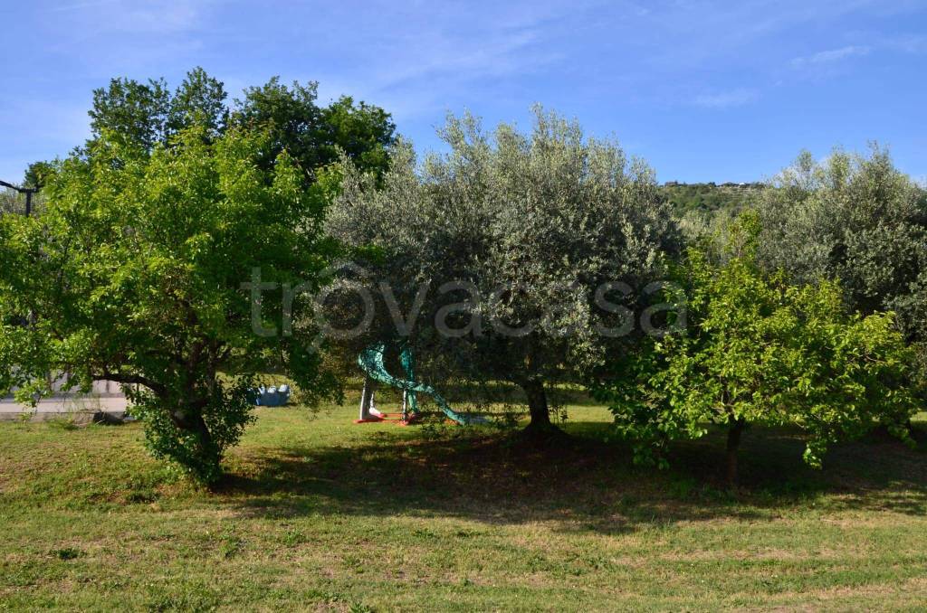 immagine annuncio 2 di 11