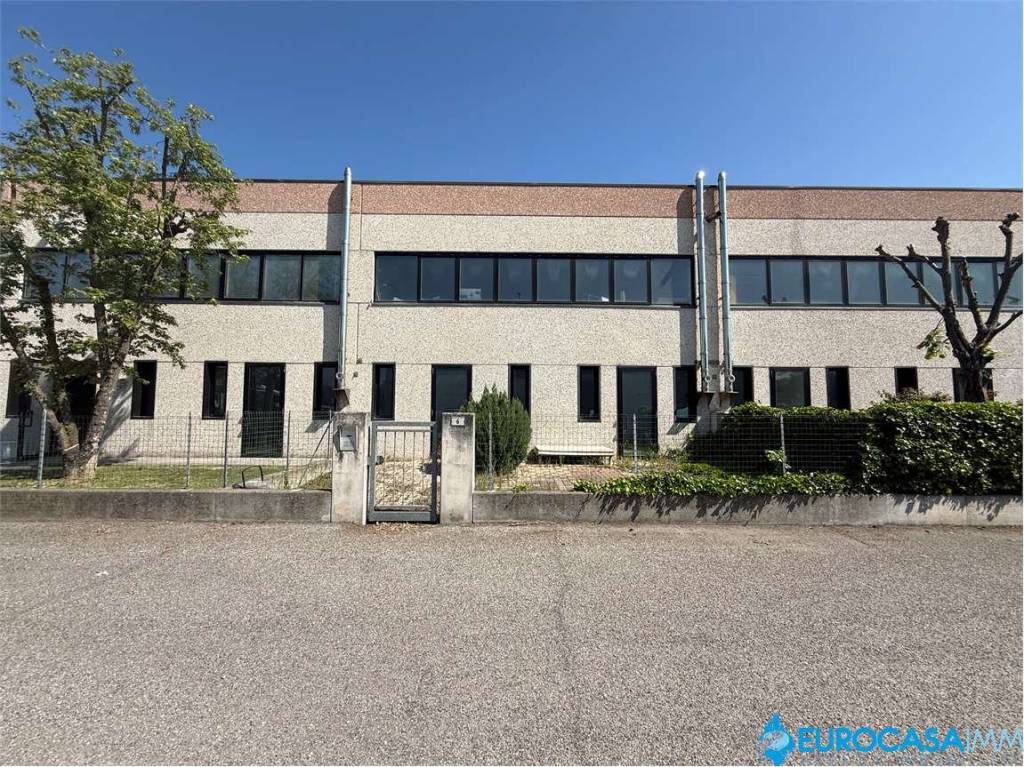 immagine annuncio 1 di 12