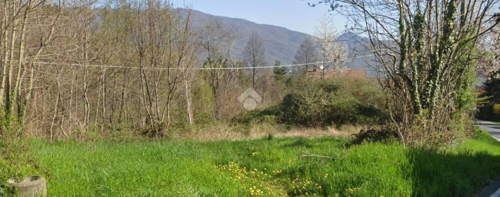 immagine annuncio 6 di 7