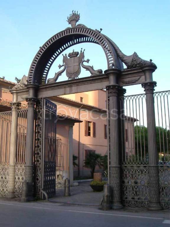 immagine annuncio 1 di 14