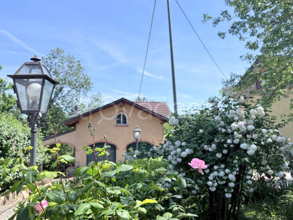 immagine annuncio 5 di 15