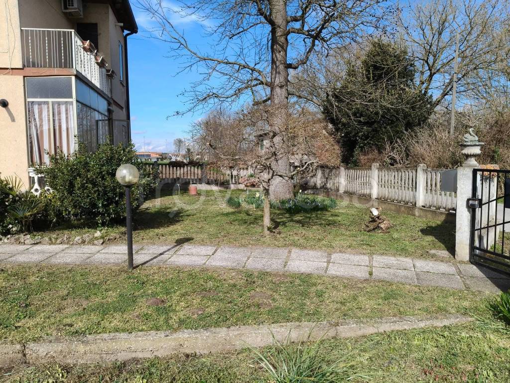 immagine annuncio 1 di 7