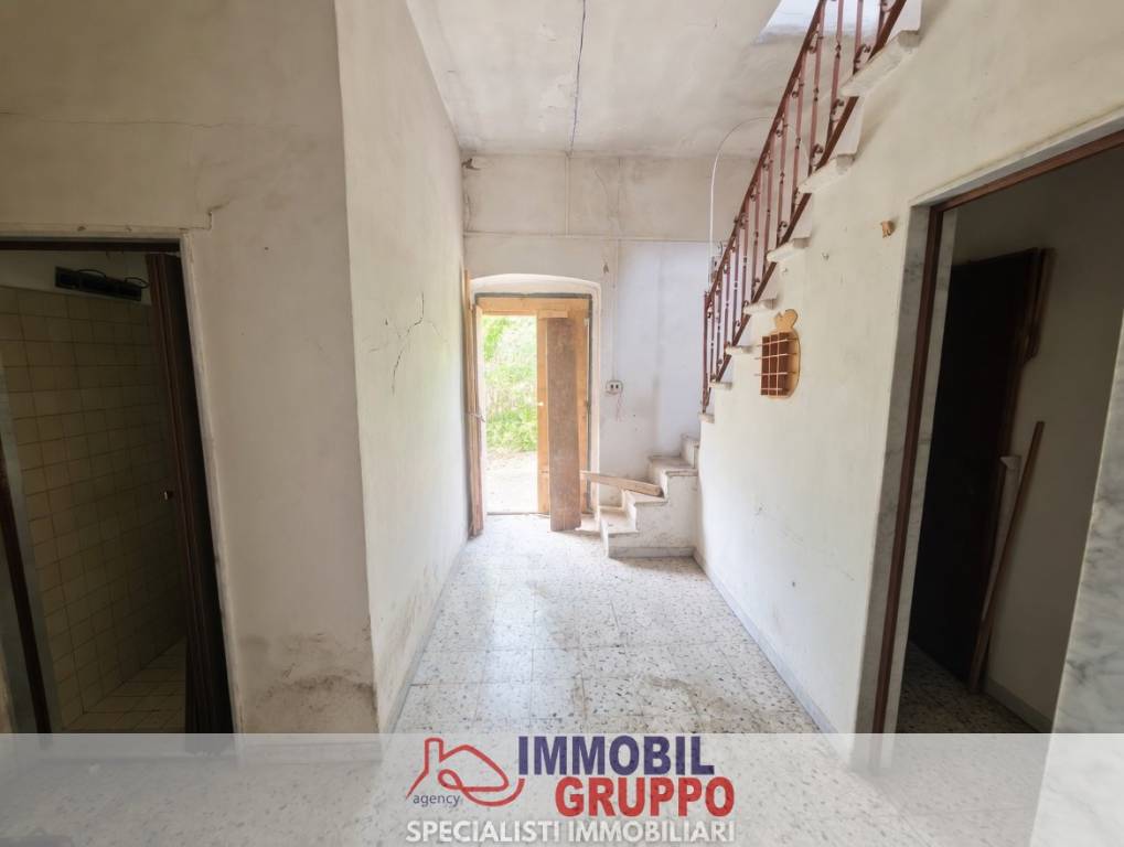 immagine annuncio 2 di 14