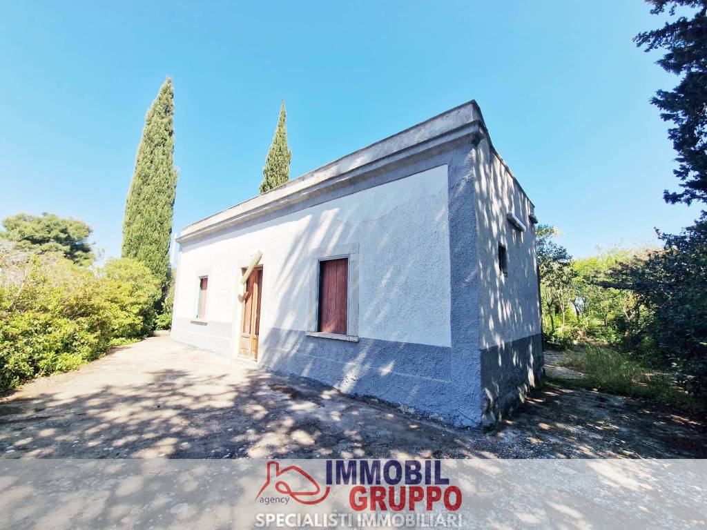 immagine annuncio 7 di 14