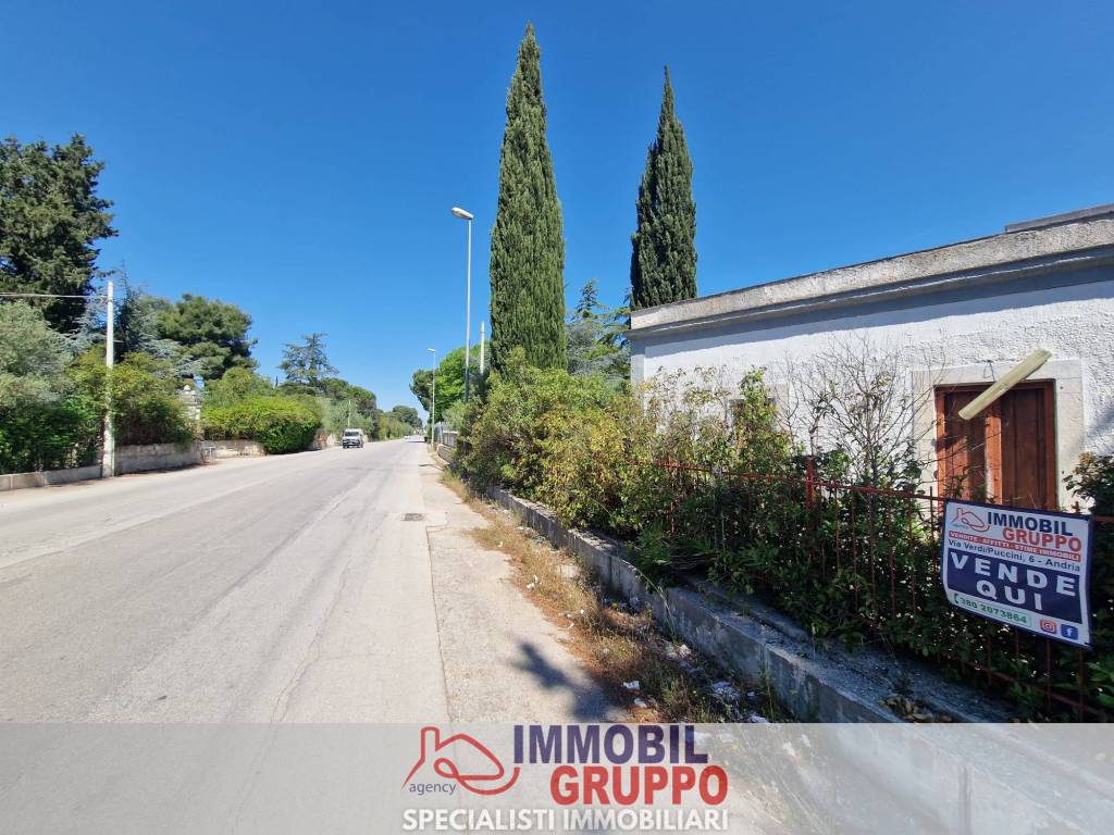 immagine annuncio 11 di 14