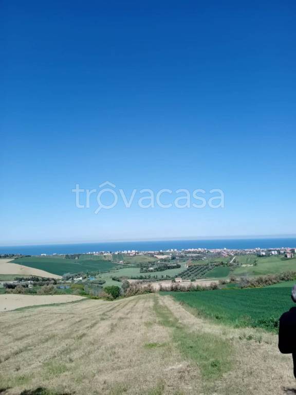 immagine annuncio 3 di 14