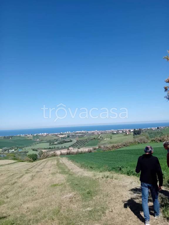 immagine annuncio 4 di 14