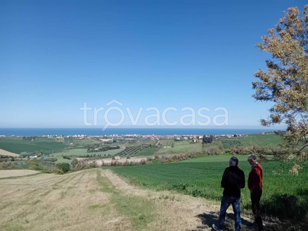 immagine annuncio 2 di 14
