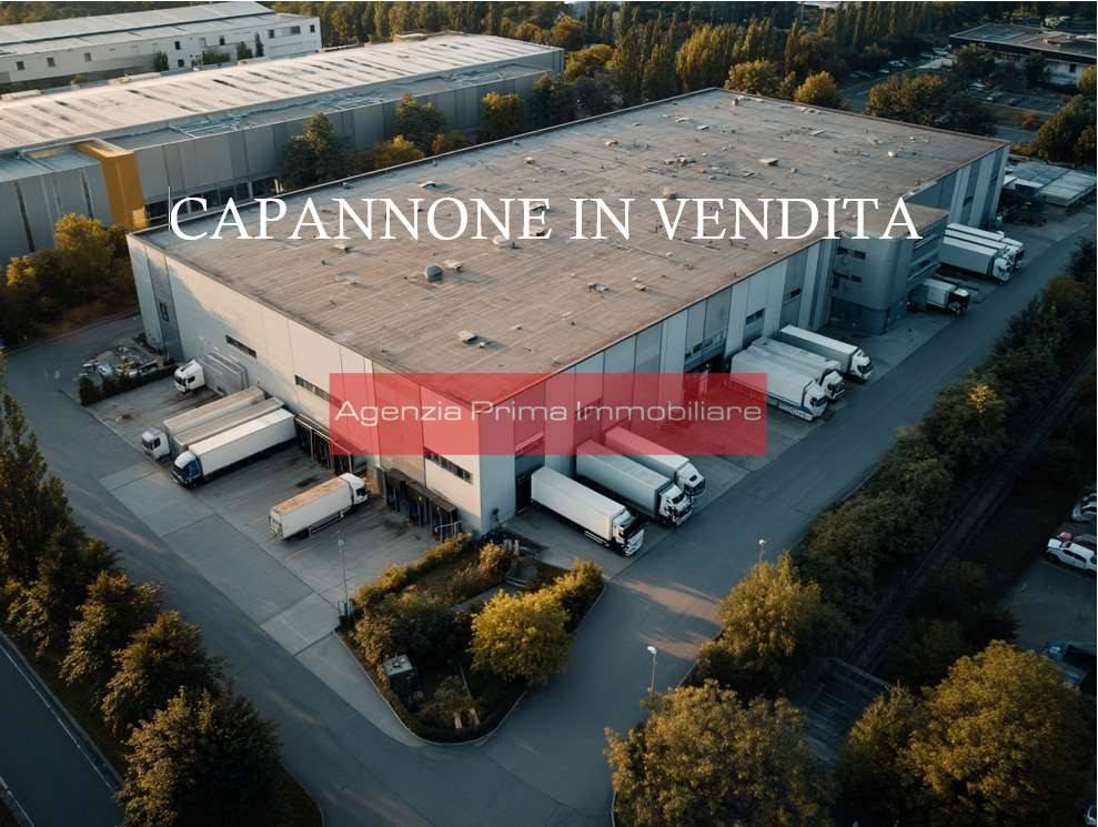 immagine annuncio 1 di 2