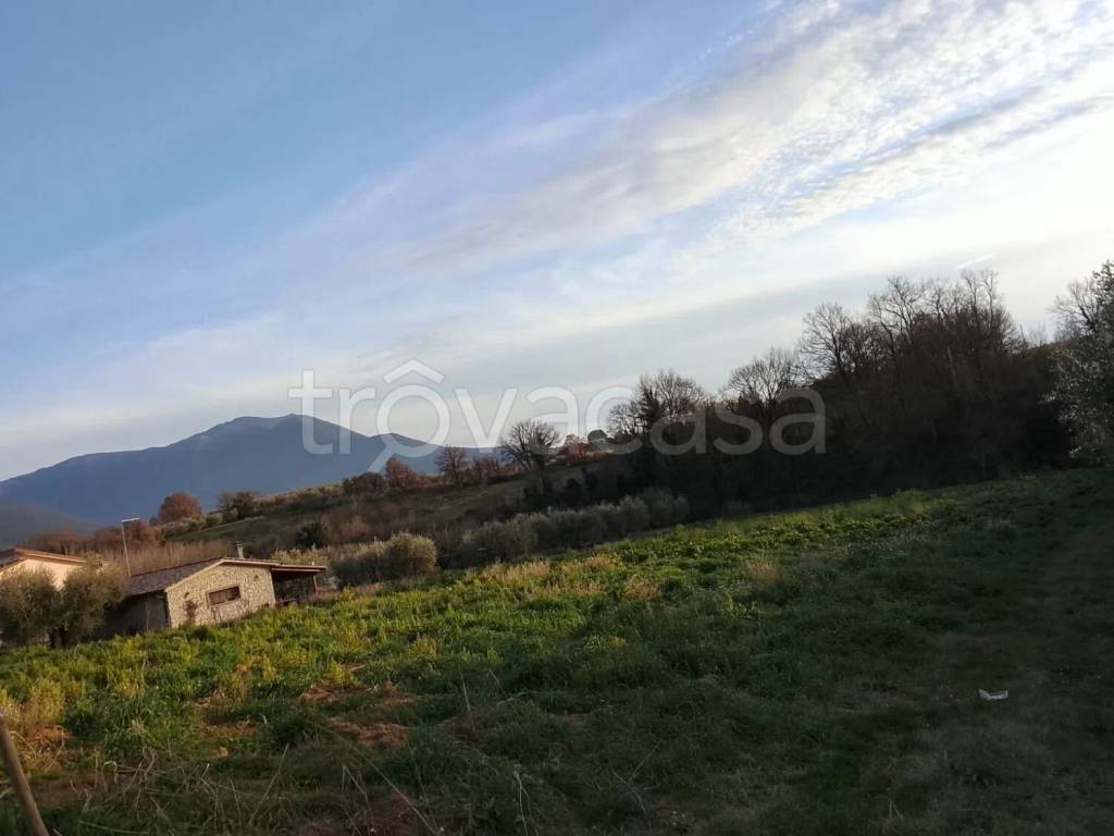 immagine annuncio 6 di 8
