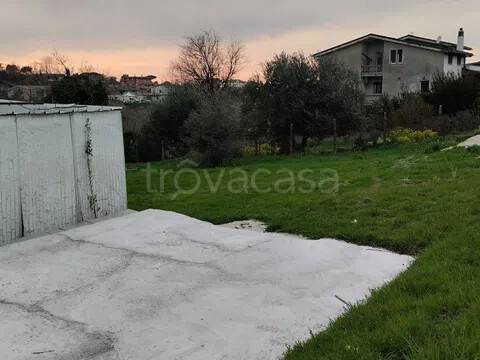 immagine annuncio 5 di 8