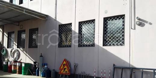 immagine annuncio 3 di 7