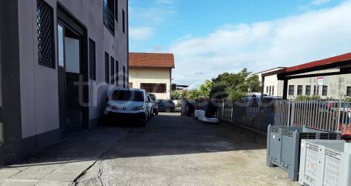 immagine annuncio 6 di 7