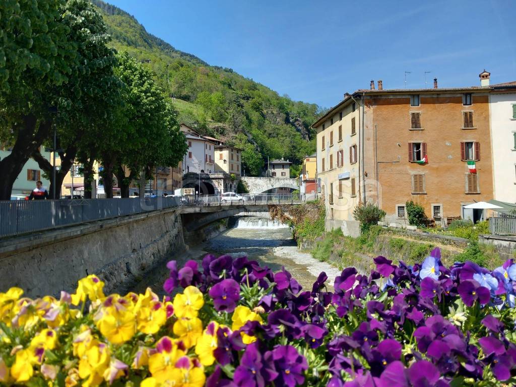 immagine annuncio 1 di 9