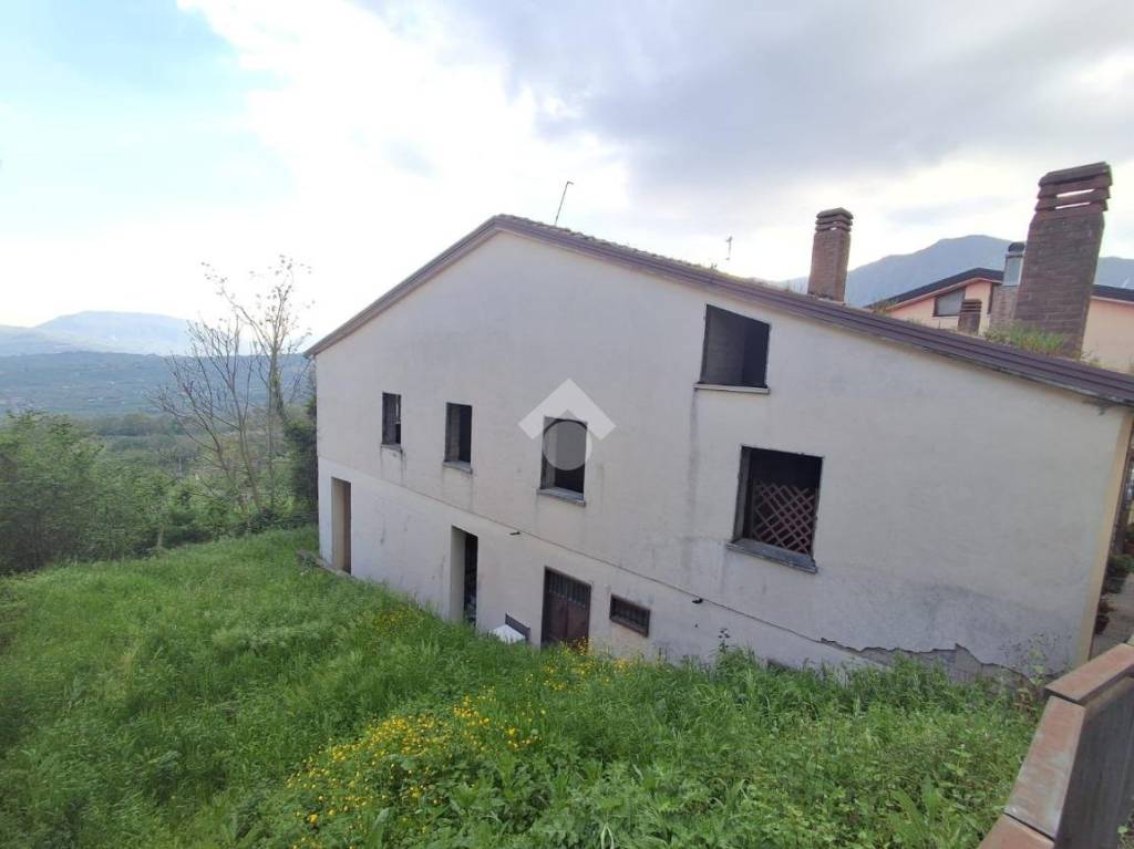 immagine annuncio 6 di 11