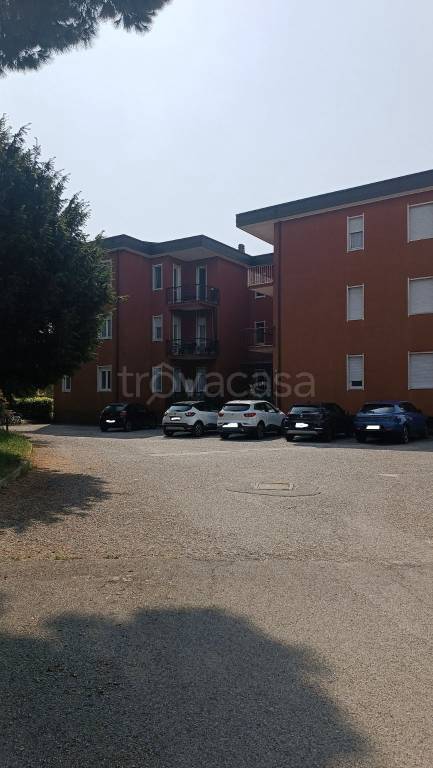 immagine annuncio 11 di 12