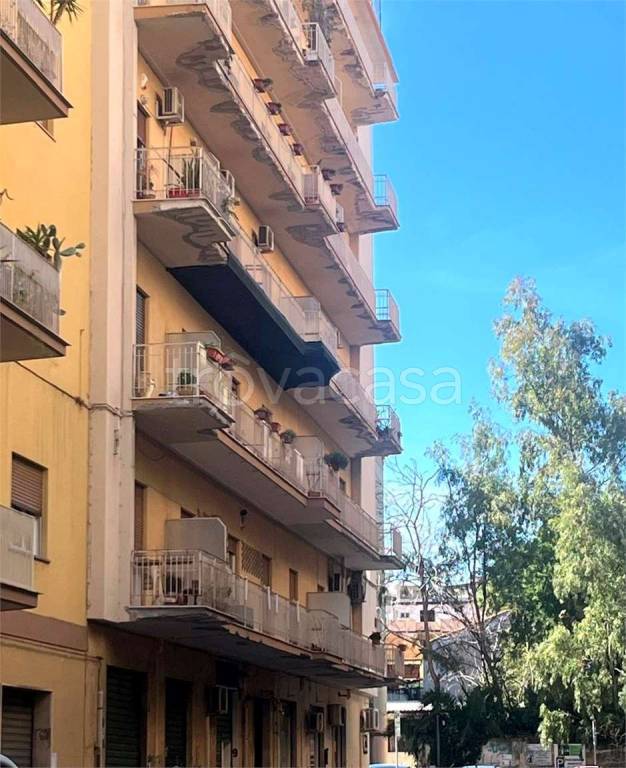 immagine annuncio 8 di 13