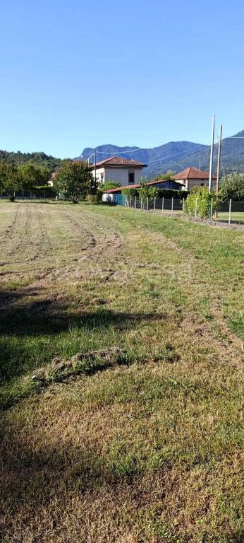 immagine annuncio 2 di 6
