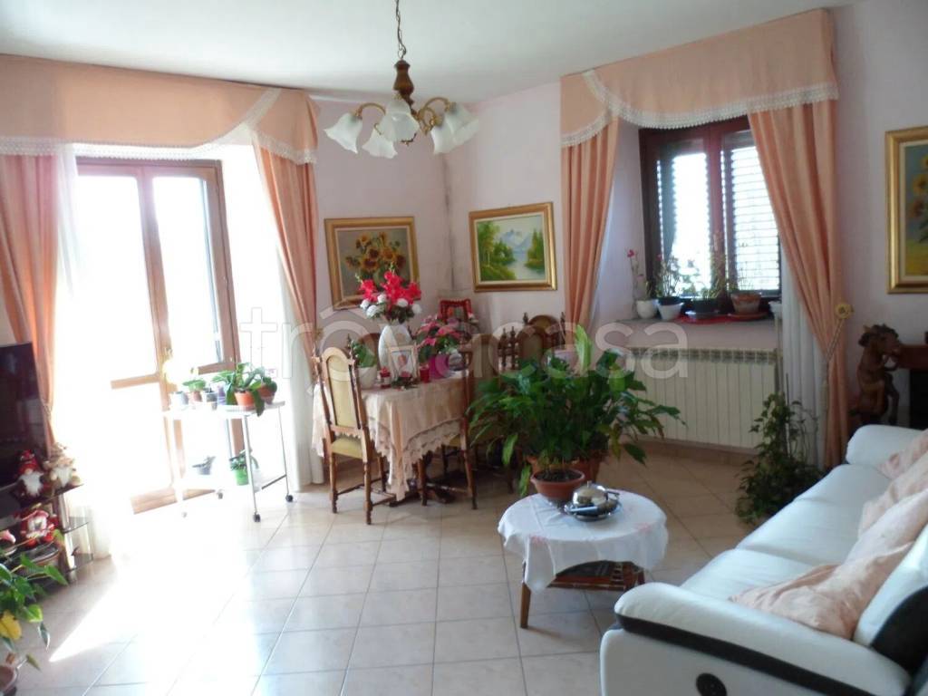 immagine annuncio 5 di 11