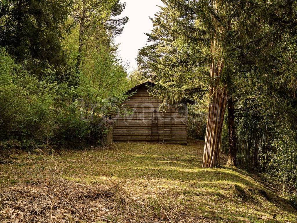 immagine annuncio 6 di 7