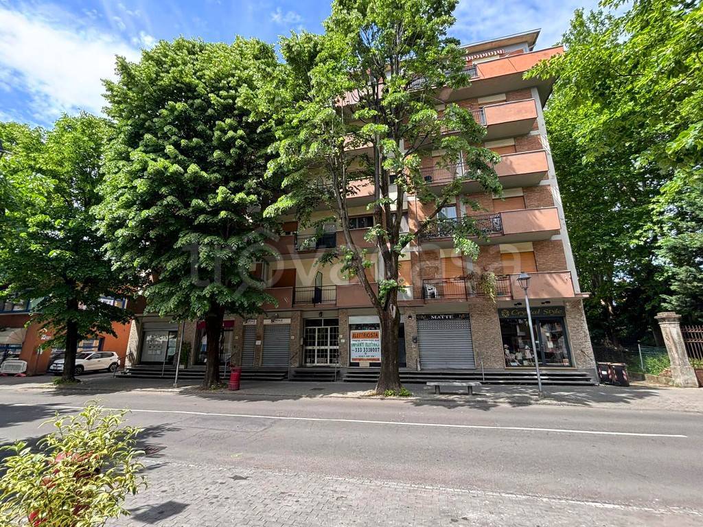 immagine annuncio 2 di 13