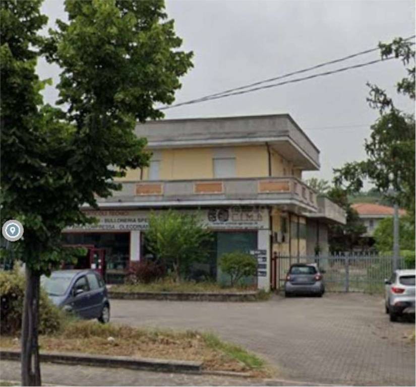 immagine annuncio 3 di 13