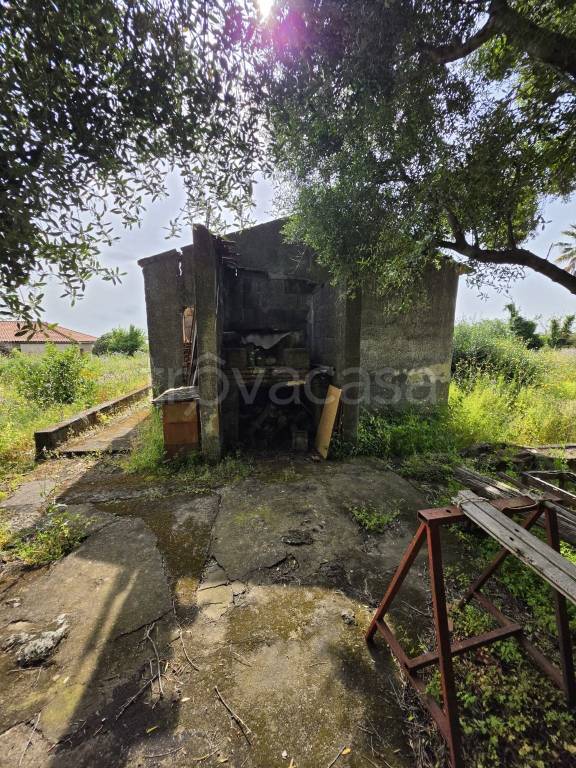 immagine annuncio 10 di 14