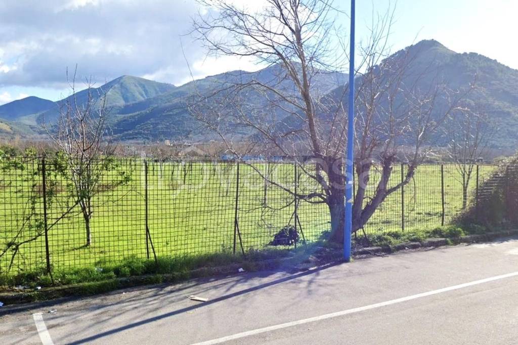 immagine annuncio 2 di 8