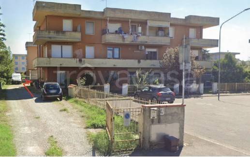 immagine annuncio 1 di 12