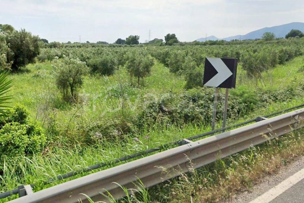 immagine annuncio 1 di 8