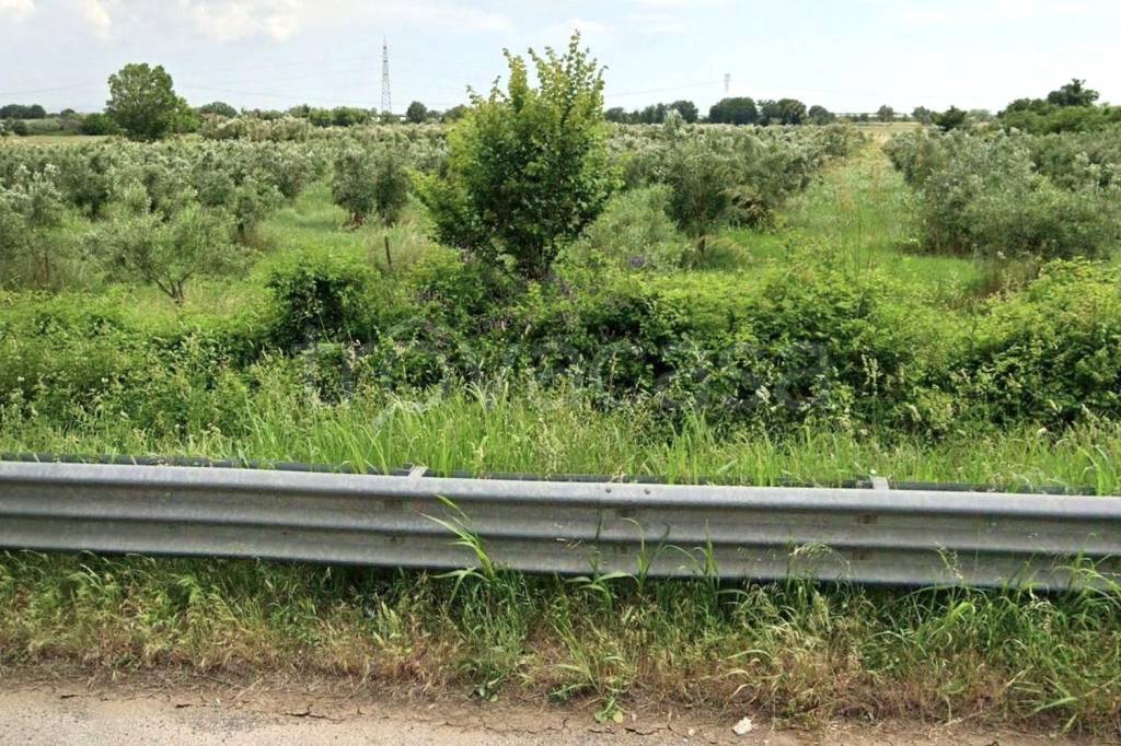 immagine annuncio 4 di 8