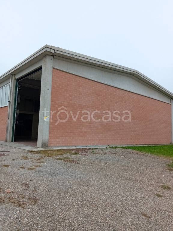 immagine annuncio 4 di 8