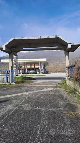immagine annuncio 3 di 11